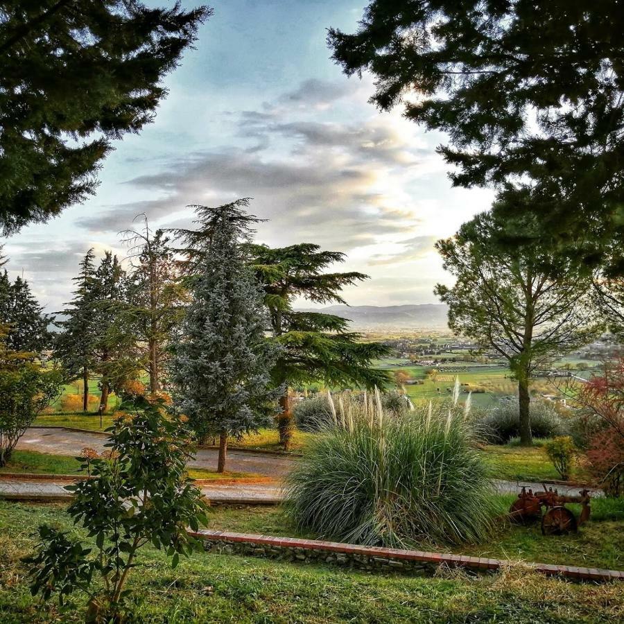 Villa Casa Per Ferie Ulivo D'Asís Exterior foto