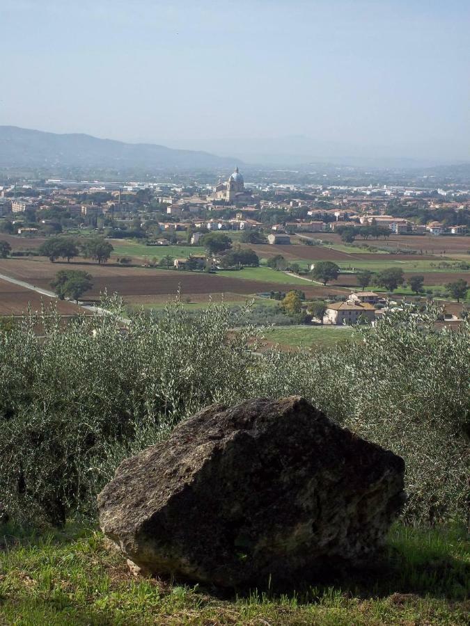 Villa Casa Per Ferie Ulivo D'Asís Exterior foto