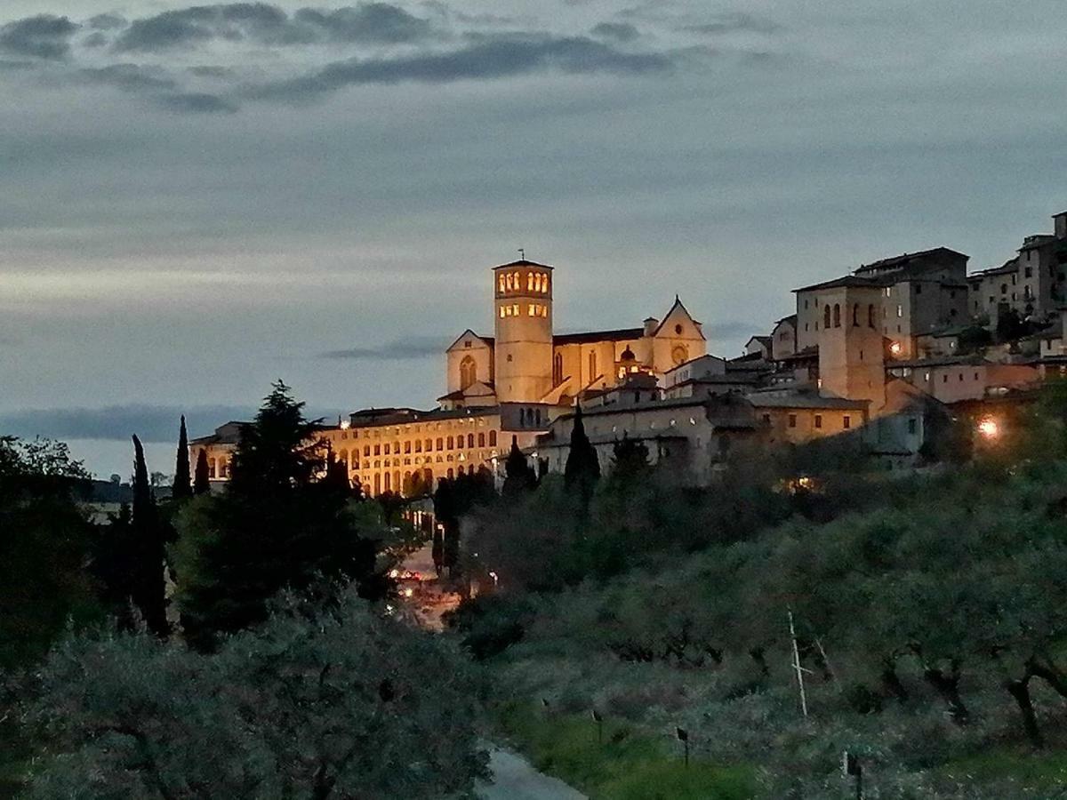 Villa Casa Per Ferie Ulivo D'Asís Exterior foto