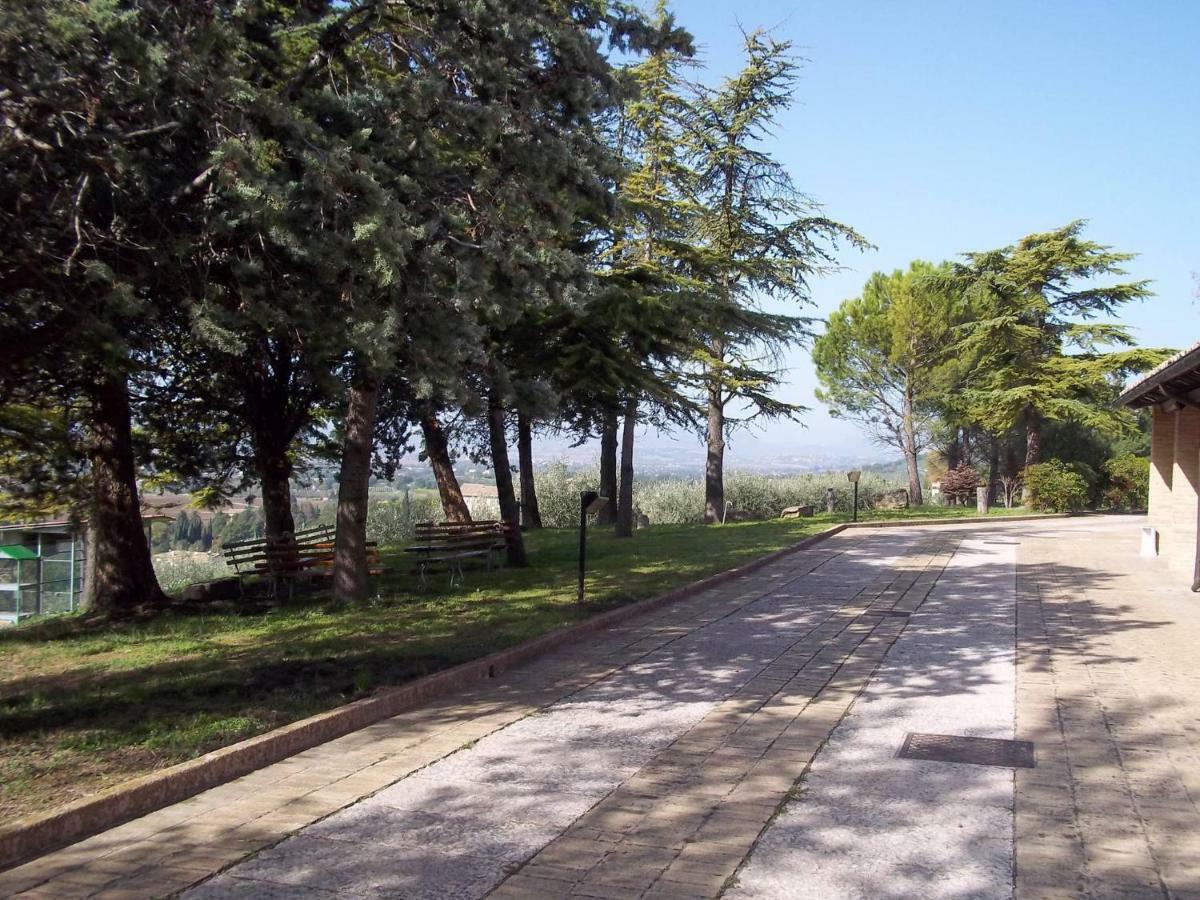 Villa Casa Per Ferie Ulivo D'Asís Exterior foto