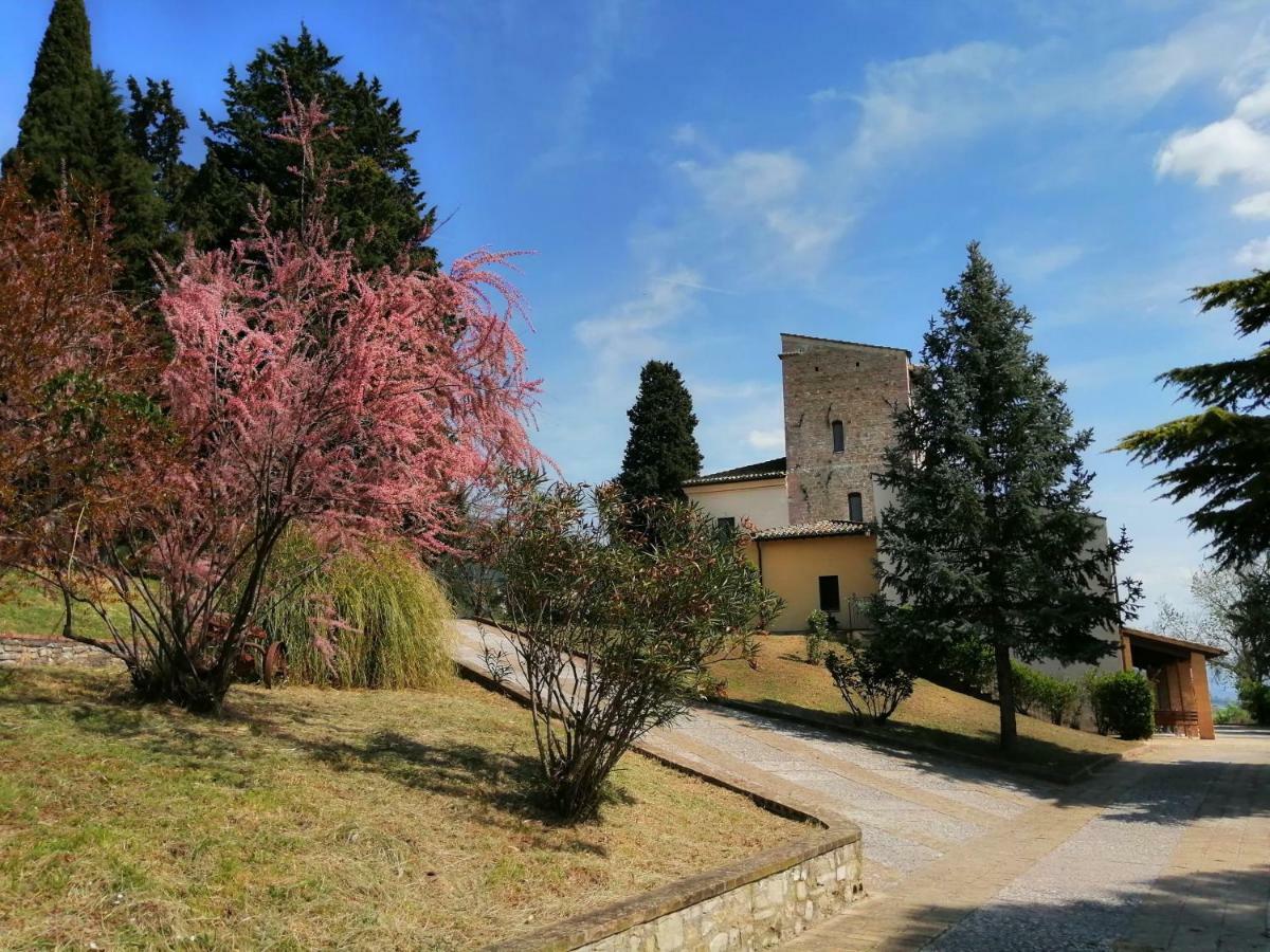 Villa Casa Per Ferie Ulivo D'Asís Exterior foto